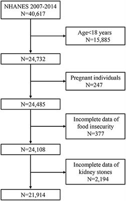 Association between food insecurity and kidney stones in the United States: Analysis of the National Health and Nutrition Examination Survey 2007–2014